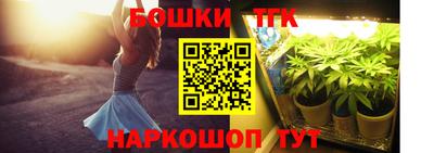 амф Обь