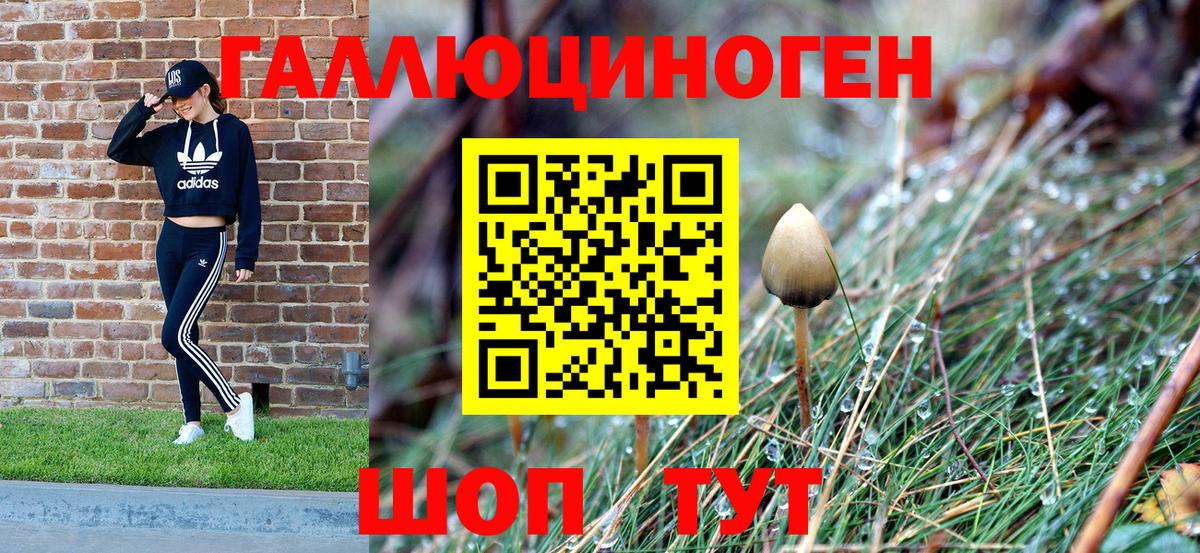 Скопин  Галлюциногенные грибы мухоморы  Вход с VPN  Галлюциногенные грибы прущие грибы 